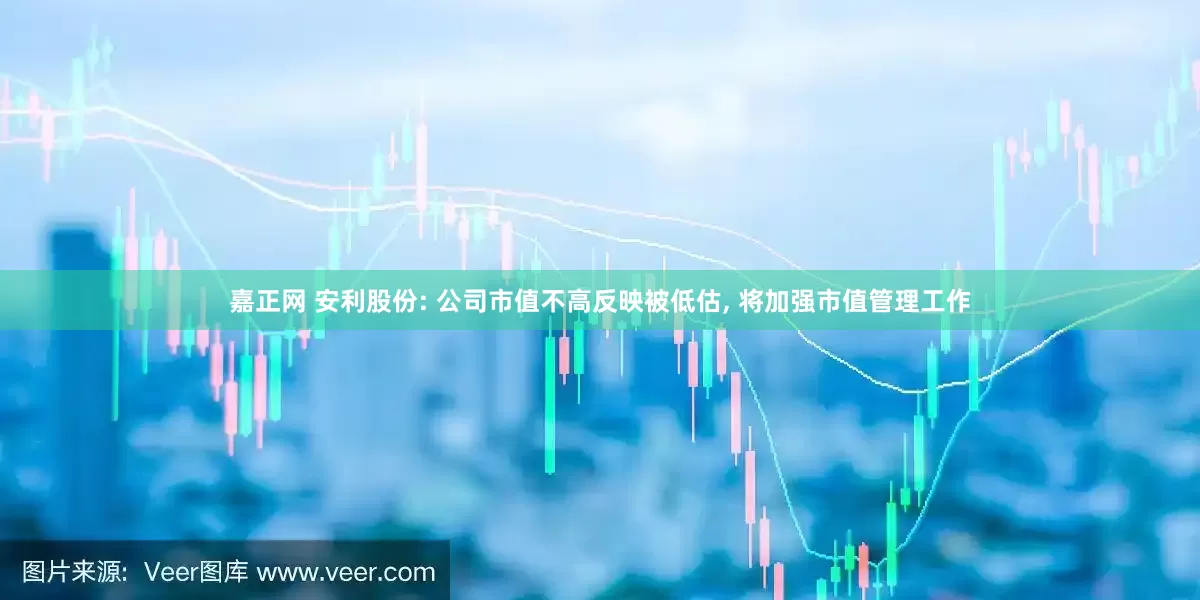 嘉正网 安利股份: 公司市值不高反映被低估, 将加强市值管理工作
