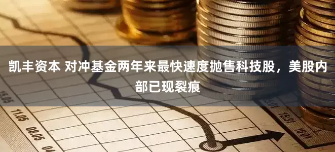 凯丰资本 对冲基金两年来最快速度抛售科技股，美股内部已现裂痕